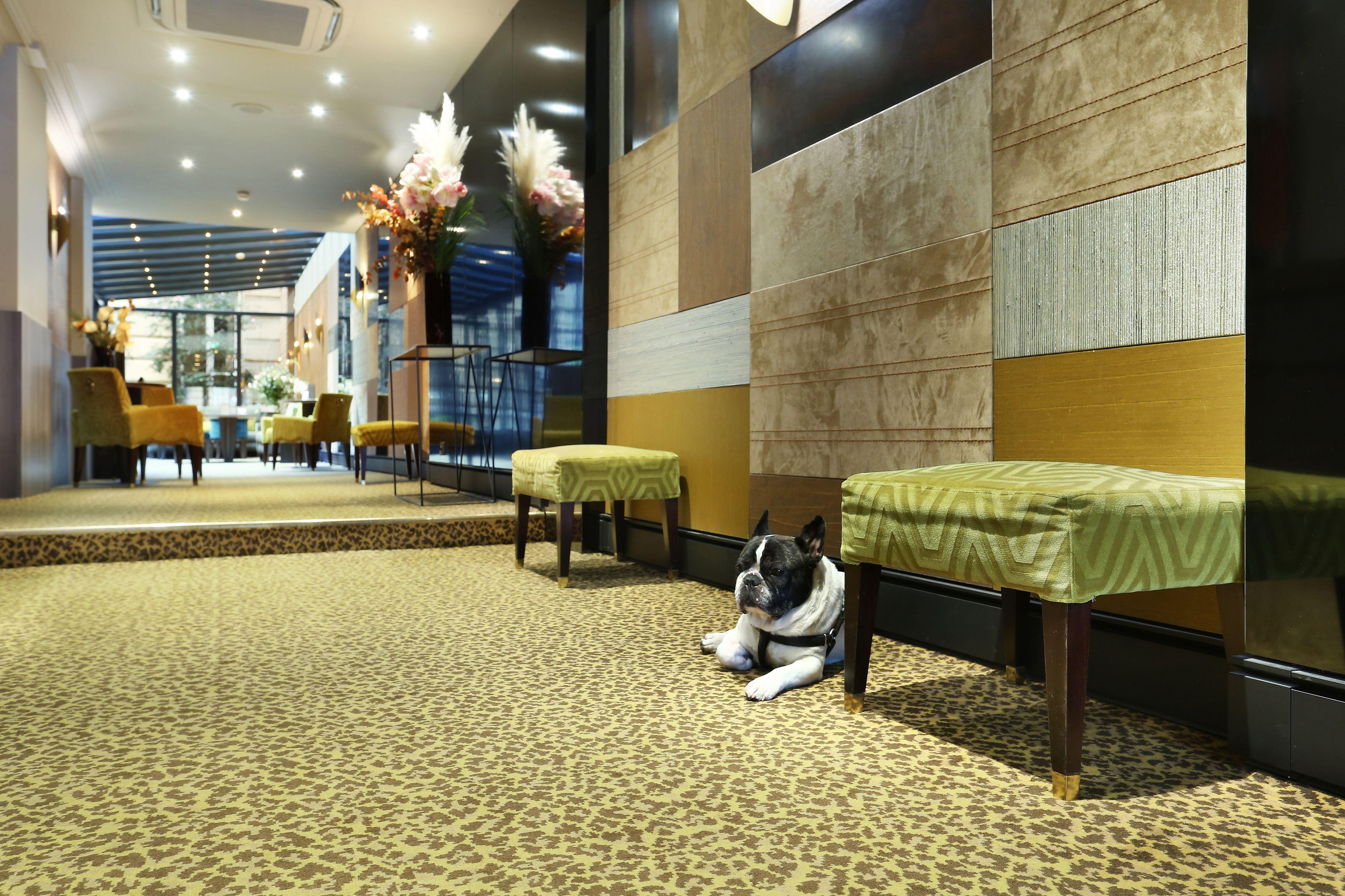 Hotel Concortel Paris